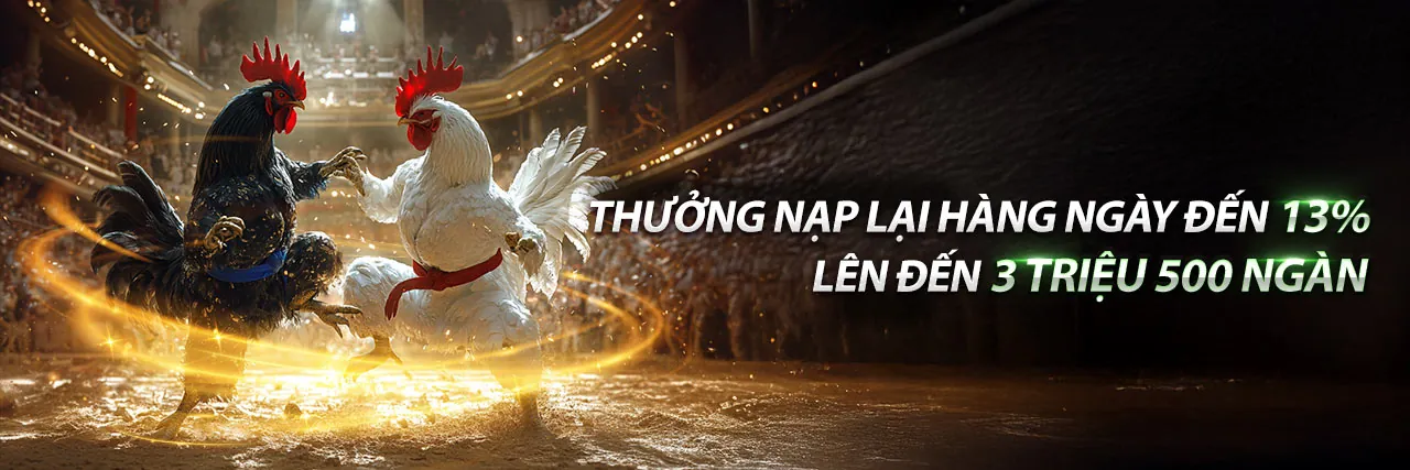 Hình ảnh chính: Khám phá các câu hỏi thường gặp về cs88 khuyến mãi